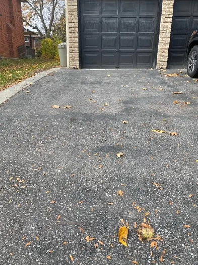 Looking for 1 male Vegetarian  tenant to share the basement. Image# 3