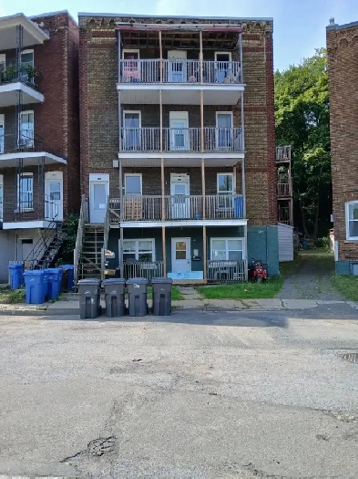 GRAND 6 1/2  Shawinigan Image# 1