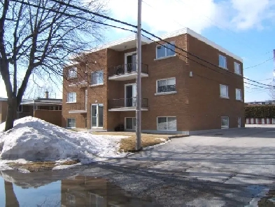 Grand 5 1/2 pieces rue Decelles a St-Hyacinthe libre pour le 1 e Image# 1