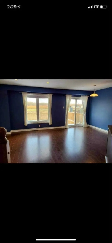 Room for rent Image# 2