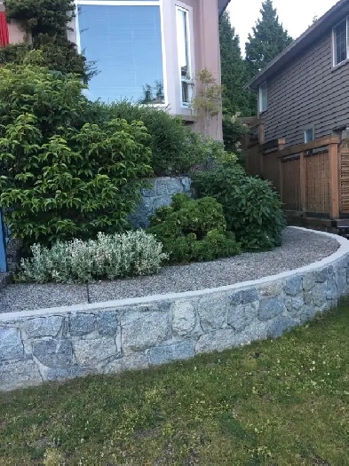 Bright 600 sqft one bedroom suite Image# 1