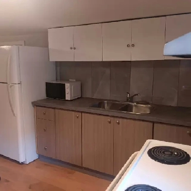 1 bedroom basement apt Image# 3