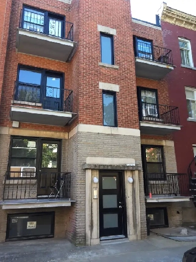 Logement de 3 1/2 rénové 2017 rue Adam disponible dès maintenant Image# 1