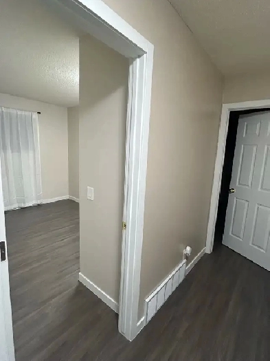 Private room for rent Image# 4