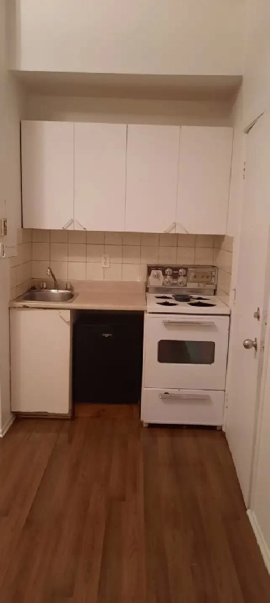 1 1/2 tout inclue metro pie IX Image# 1