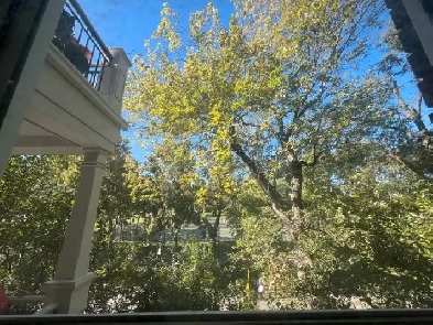 Appartment - Esplanade Plateau Image# 1