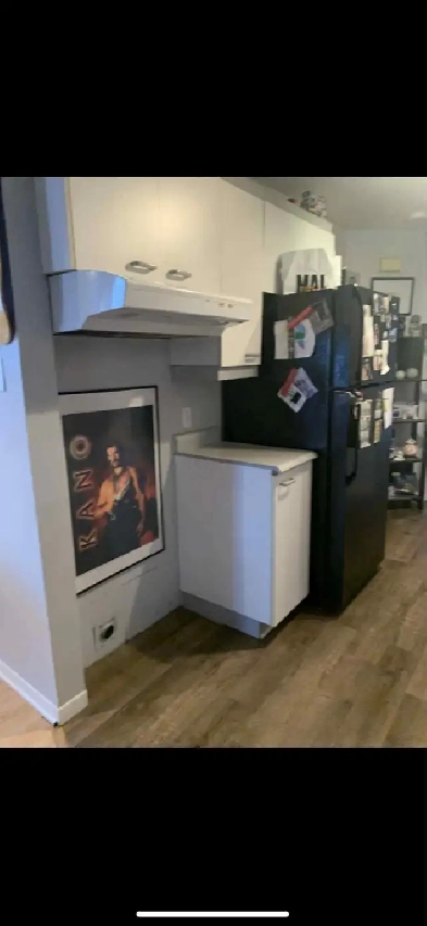 3 1/2 appartement Lafontaine Saint Jerome Image# 1