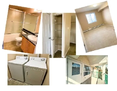 CLAREVIEW Quiet Top Flr XL 1-Bedroom Condo pet friendly 18  only Image# 7