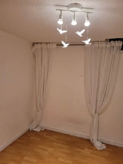 2 bedroom basement apartment for rent Keswick, Georgina Image# 5