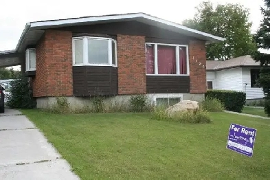 bachelor suite in Brentwood house -close to transit & shopping Image# 3