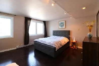 room for rent $80 Image# 1
