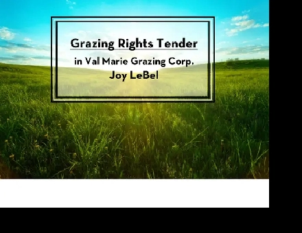 Grazing Rights Tender - RM of Val Marie No 17 Image# 1