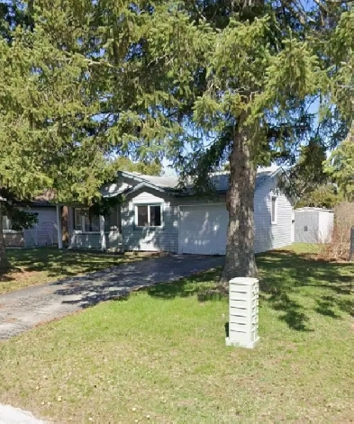 Basement Apartment for Rent in Kitchener Image# 1