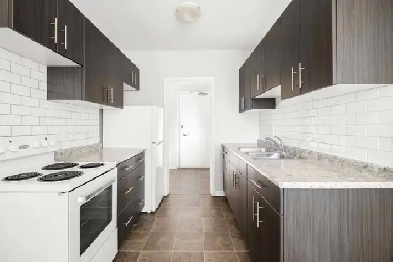 Spacious 1 Bedroom Apartment! Available November 1st! Image# 2