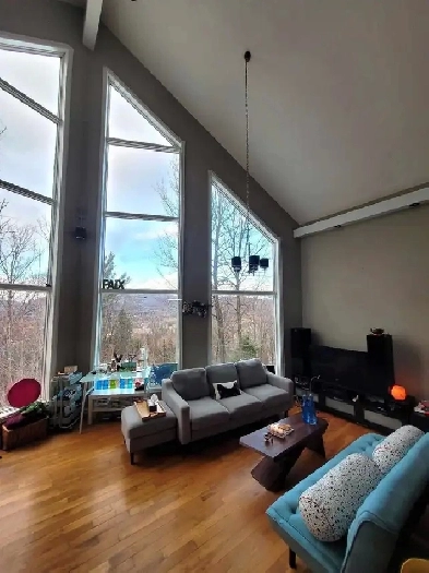 Magnifique appartement avec toit cathédrale Image# 11