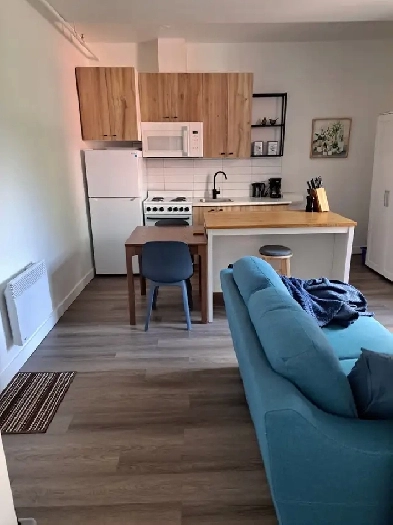 3.5 à louer 1er décembre Image# 1