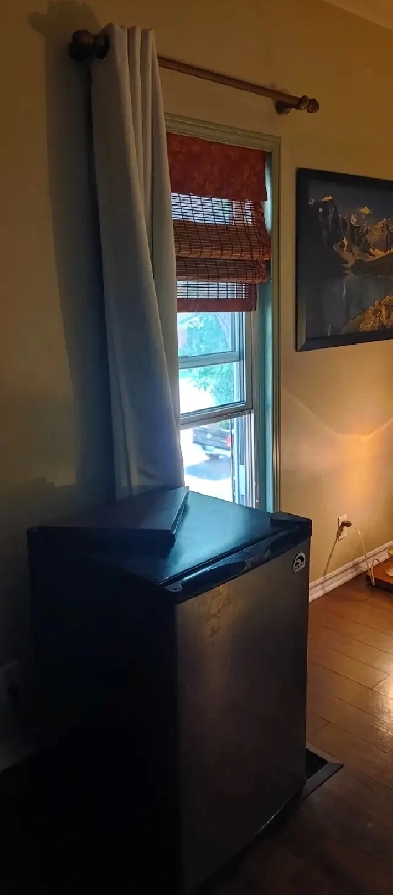 partially furnished bedroom for rent in quiet home Image# 1