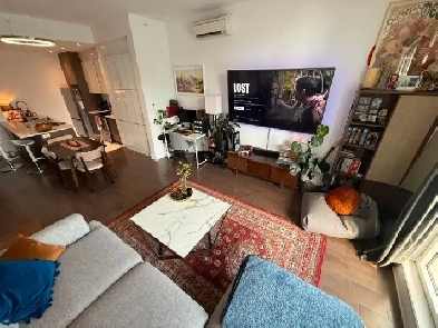 Lease Takeover – Beautiful Penthouse Apartment in Côte-des-Ne Image# 4