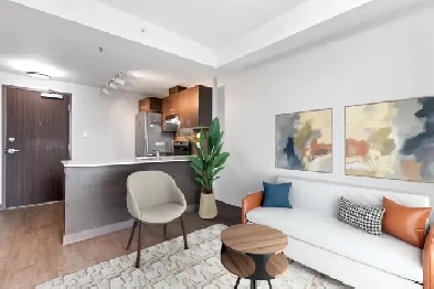 Modern 1-Bedroom Apartment for Rent – Downtown Ottawa 169 Lisgar Image# 1