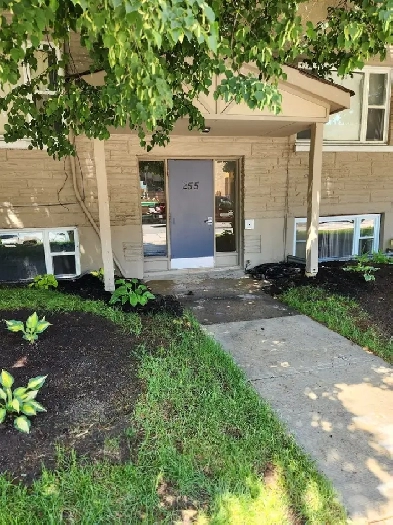 New Renovation - Mins to Downtown & Laundry in Apt Image# 1