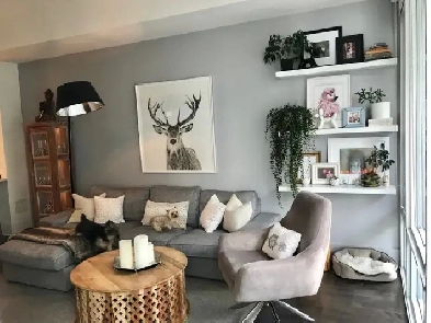 Luxury 1 Bedroom Condo   Den   2 Bath   Pkg at Pier 27 Image# 1