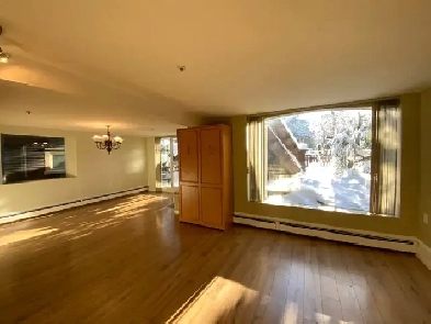 Charming 2 Bedrm   2 Bath Duplex Unit in Kitsilano! Image# 4