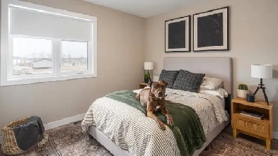 BRAND NEW 3 Bed 1.5 Bath Townhouse in Ste Anne, MB for Rent! Image# 7