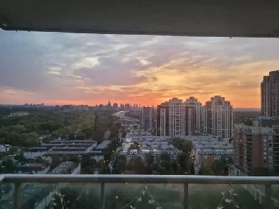 Newly renovated 2 bedroom 2 bathroom condo at Harrison Garden Image# 11