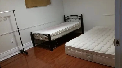 1 Bedroom BASEMENT Apartment near Centennial College Image# 2