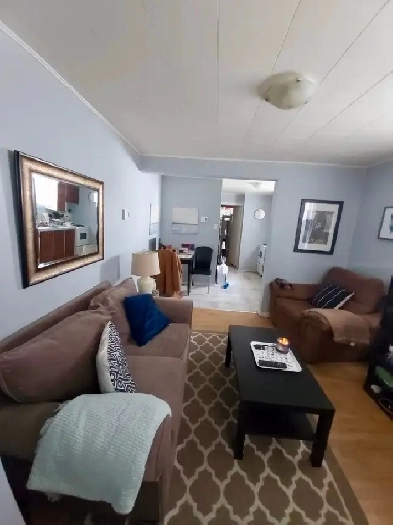 3 1/2 Hull Appartement À LOUER Gatineau / proche Ottawa Image# 1