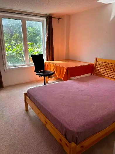 Ellesmere & Midland Suite for rent $1000 Private Bathroom Image# 3