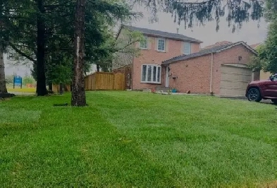 Basment apartment for rent in Brampton Image# 5