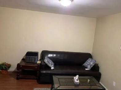 3Bedroom basement for rent Image# 4