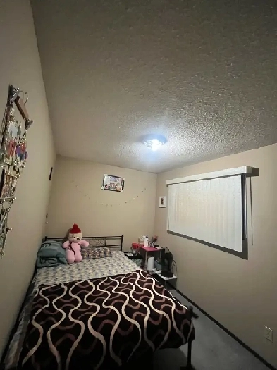 Private room rent in north .for a girl . OCTOBER 1st Image# 1