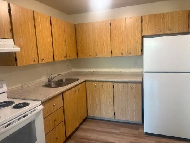 beautiful main floor 1 bedroom apartment Image# 1