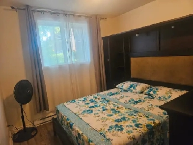 Grand 4 1/2 rénové Image# 1