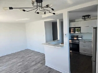 2 bed 1 bath with large private terrace Image# 2