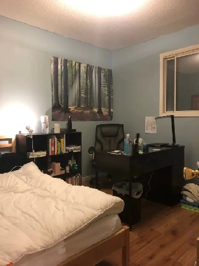 Female student rental (utilities included) Image# 1