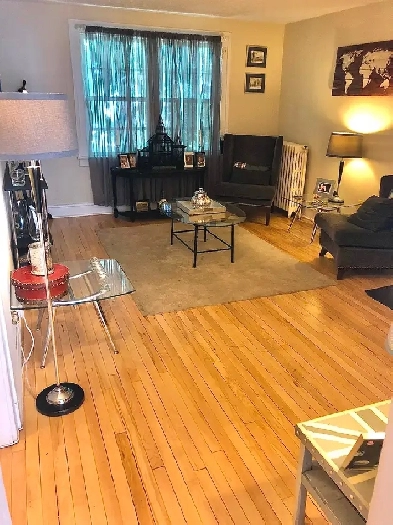 Extra Large 2 Bedr Apt Downtown (Sept 15th) - Dog & Cat Friendly Image# 1