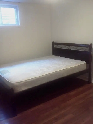 Finch/Victoria park separate entrance basement one room for rent Image# 1