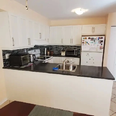 3 Bedroom Apartment for Rent Image# 4