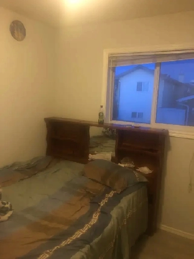 Room for rent in Taradale ne Image# 3