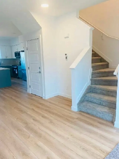 Brand new 3 bedroom house for rent in River Edge Image# 4