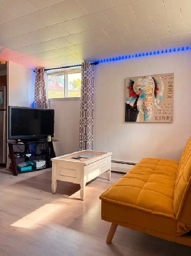 À louer appartement meublé 3 ½ lumineux Image# 4
