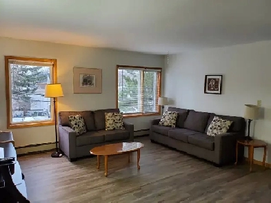 Furnished Three Bedroom  Downtown Apartment Image# 2