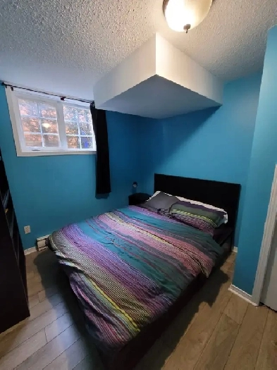 1 bedroom apartment to rent / appartement 1 ch à louer Image# 1