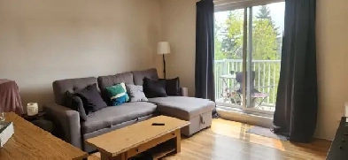 Appartement 1 chambre et une salle de bain Image# 1