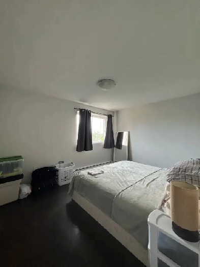 Spacious Apartment in Crystal Beach, near Ottawa River Image# 1