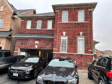 Basement apartments for rent in Mississauga Image# 1