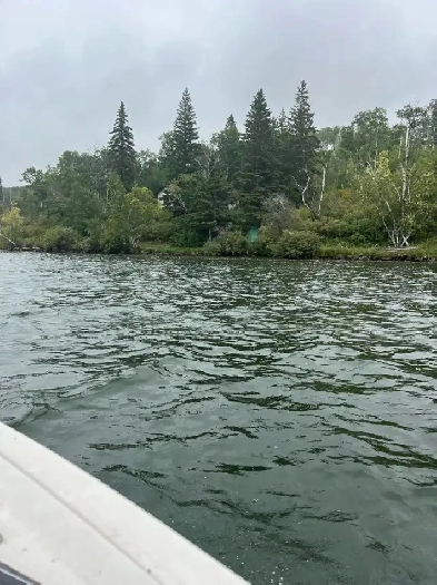 Wakaw lake cabin or lot wanted Image# 1